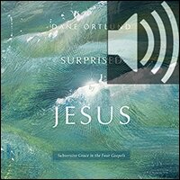 Surprised by Jesus: Subversive Grace in the Four Gospels (audio)