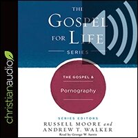 The Gospel & Pornography (audio)