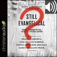 Still Evangelical?: Insiders Reconsider Political, Social, and Theological Meaning (audio)