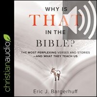 Why Is That in the Bible?: The Most Perplexing Verses and Stories-and What They Teach Us (audio)