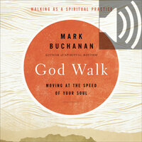 God Walk: Moving at the Speed of Your Soul (Audio)