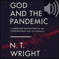 God and the Pandemic: A Christian Reflection on the Coronavirus and Its Aftermath (Audio)