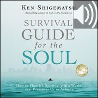 Survival Guide for the Soul: How to Flourish Spiritually in a World that Pressures Us to Achieve (Audio)