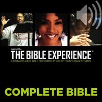 Inspired By … The Bible Experience Audio Bible - Today's New International Version, TNIV: Complete Bible: A Dramatic Audio Bible Performed by 400 of Today's Biggest Stars (Audio)