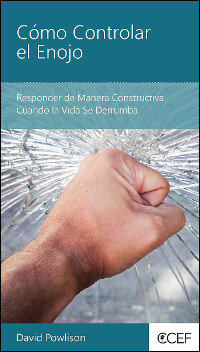 Cómo Controlar el Enojo: Responder de Manera Constructiva Cuando la Vida Se Derrumba