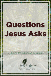 LifeGuide - Questions Jesus Asks: 9 Studies for Individuals or Groups