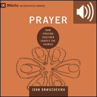 Prayer: How Praying Together Shapes the Church (audio)