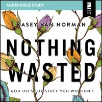 Nothing Wasted: Audio Bible Studies: God Uses the Stuff You Wouldn’t (Audio)