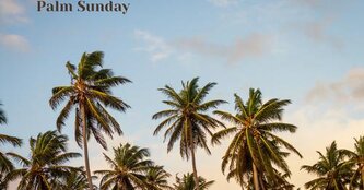 13421493170617138214