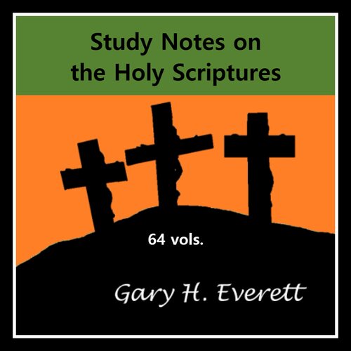 Study Notes on the Holy Scriptures (64 vols.)