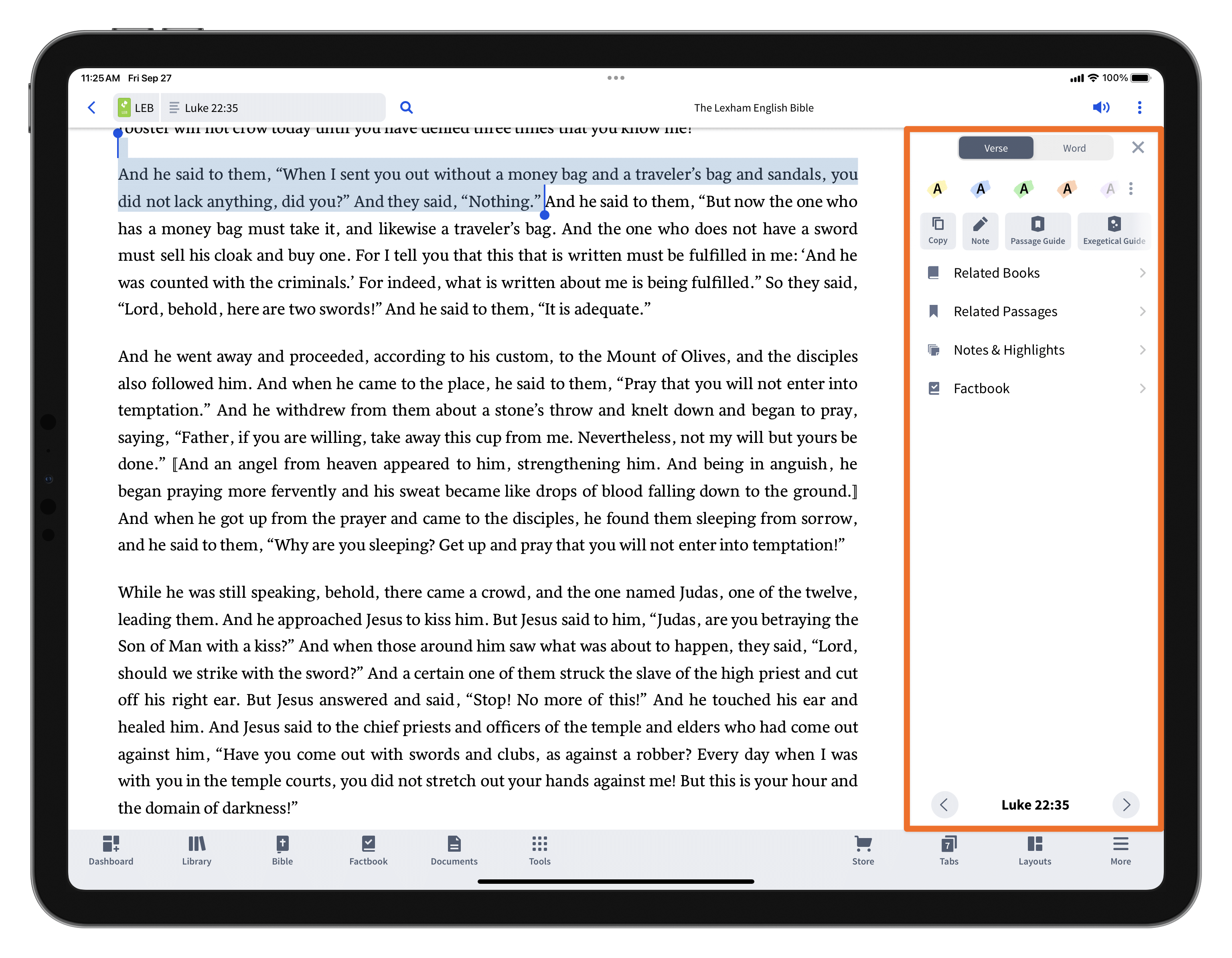 Pinned Insights Panel (Ipad)