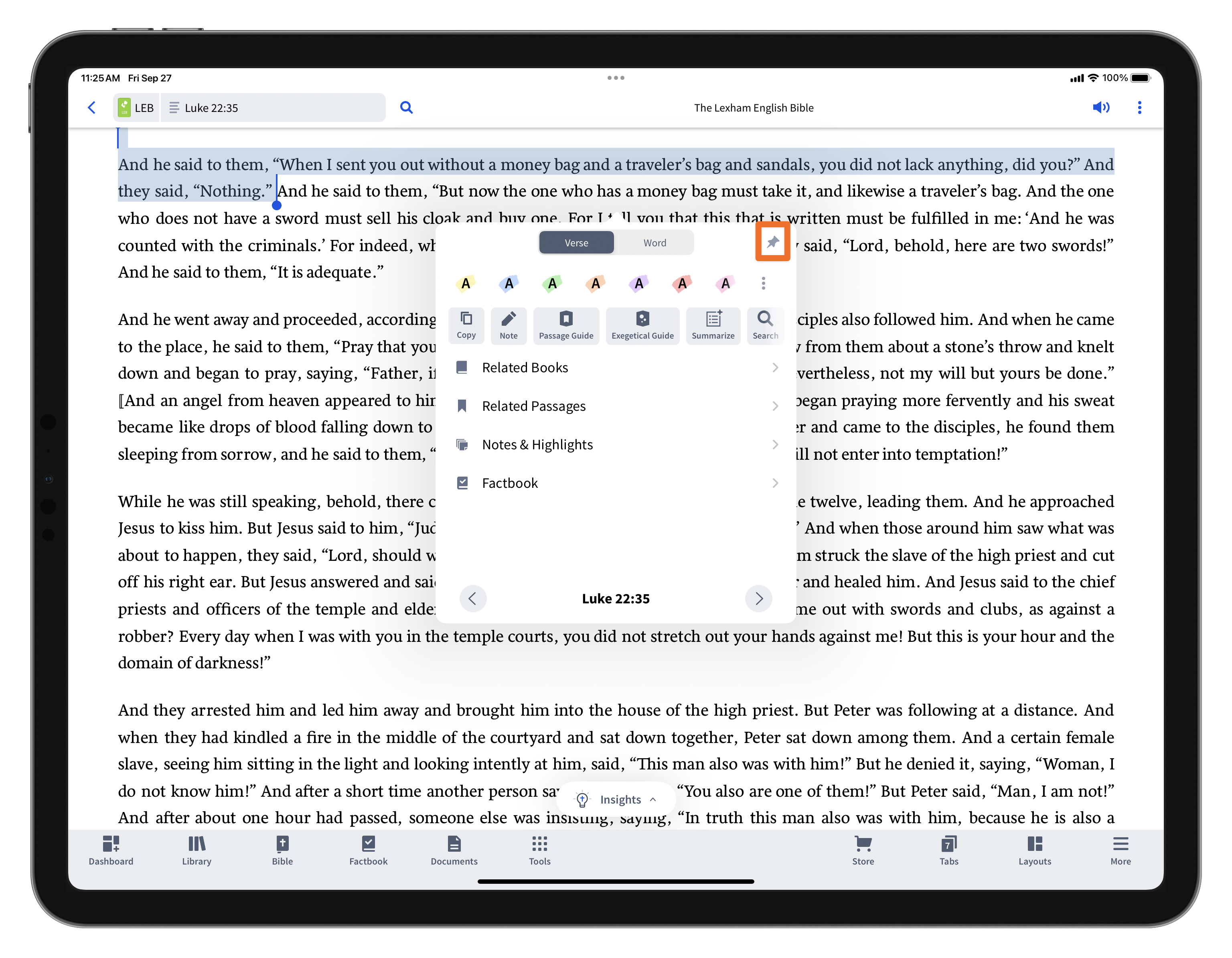 Pin Insights Panel (Ipad)