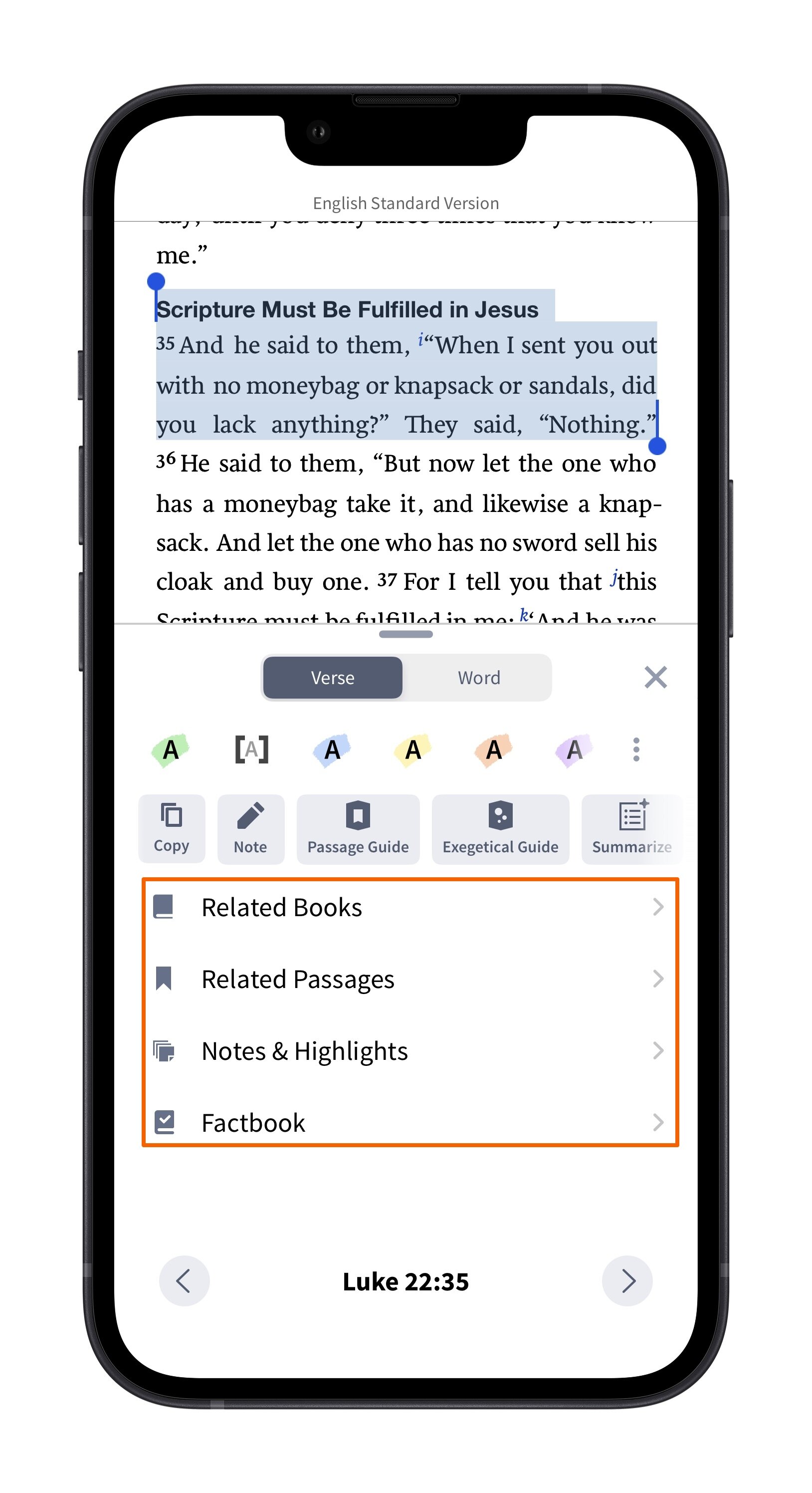 Insights Panel Info And Insights (Verse)