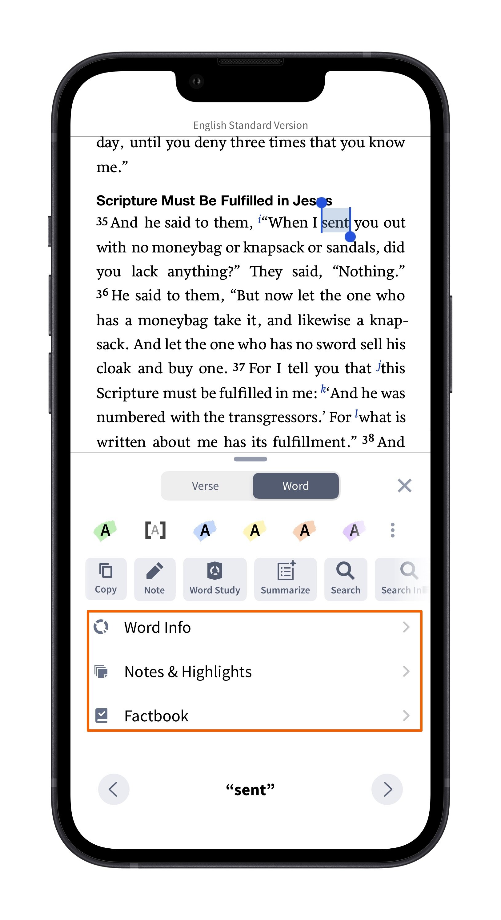 Insights Panel Info And Insights (Word)