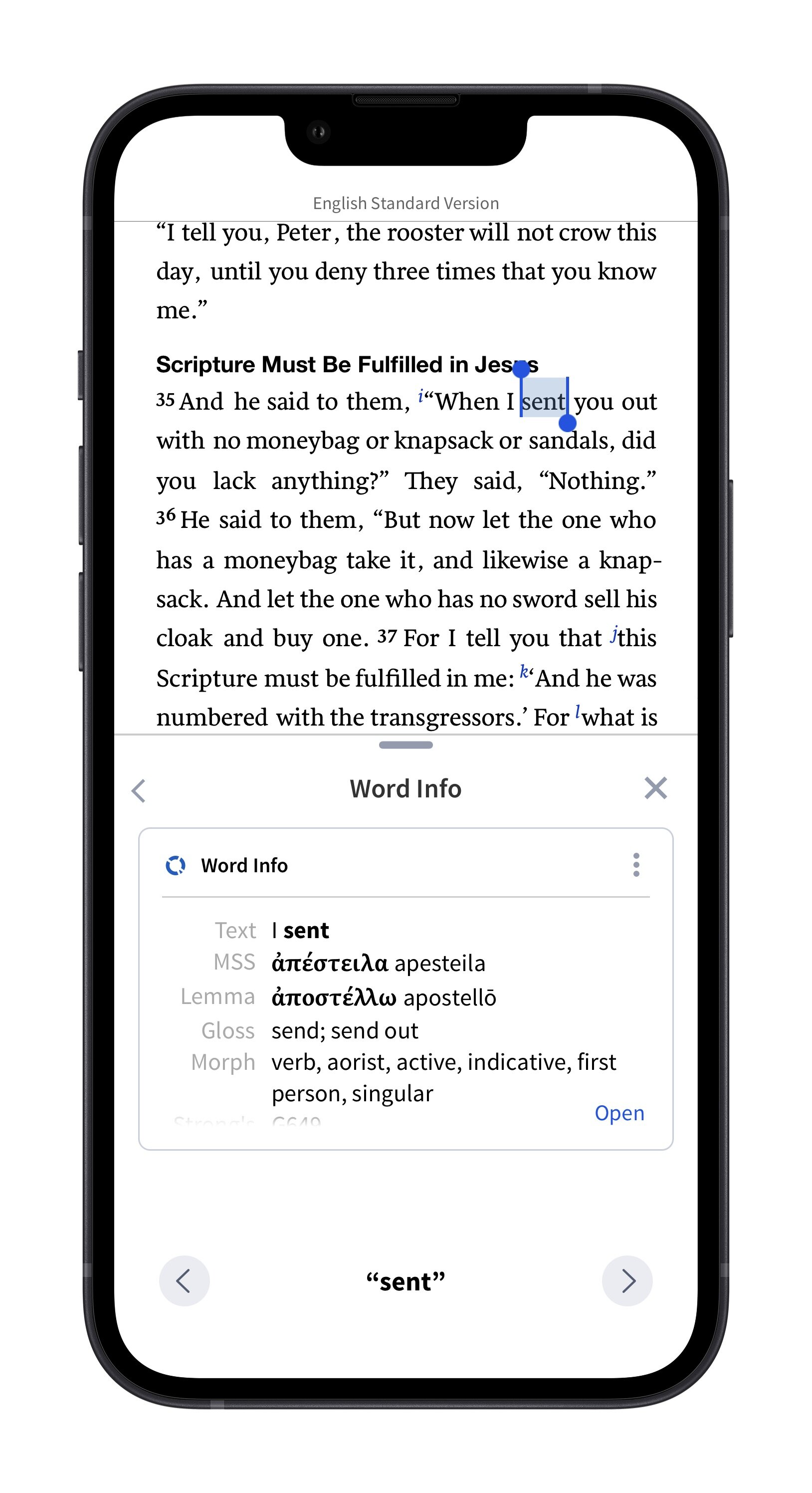 Word Info Section