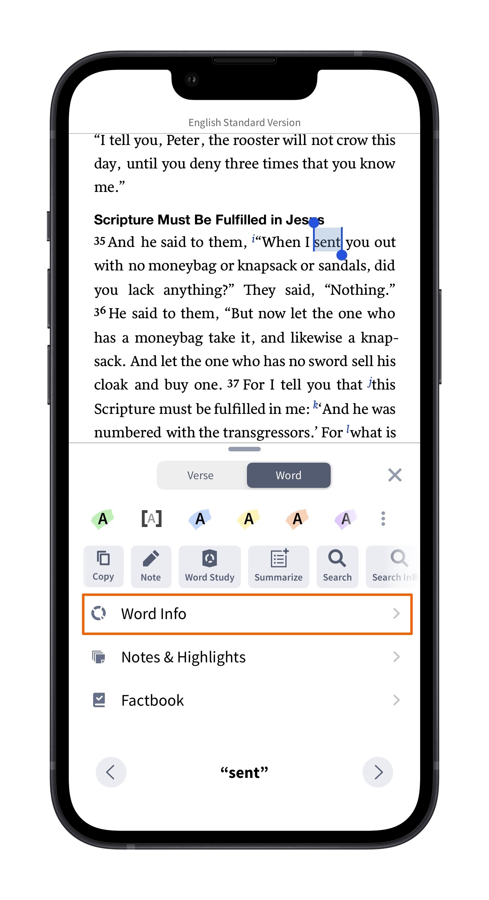 Open Word Info Section