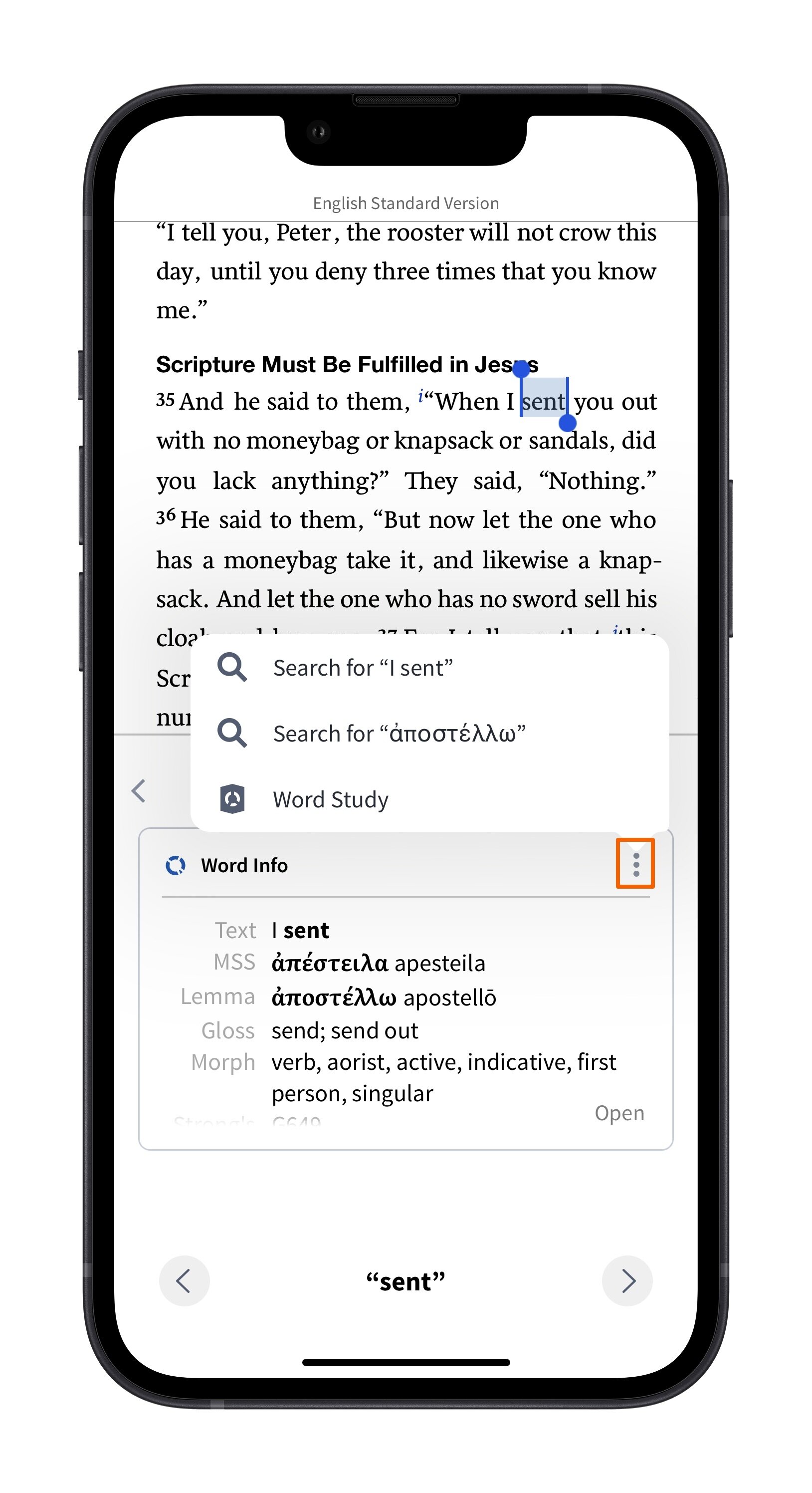 Additional Word Info Options