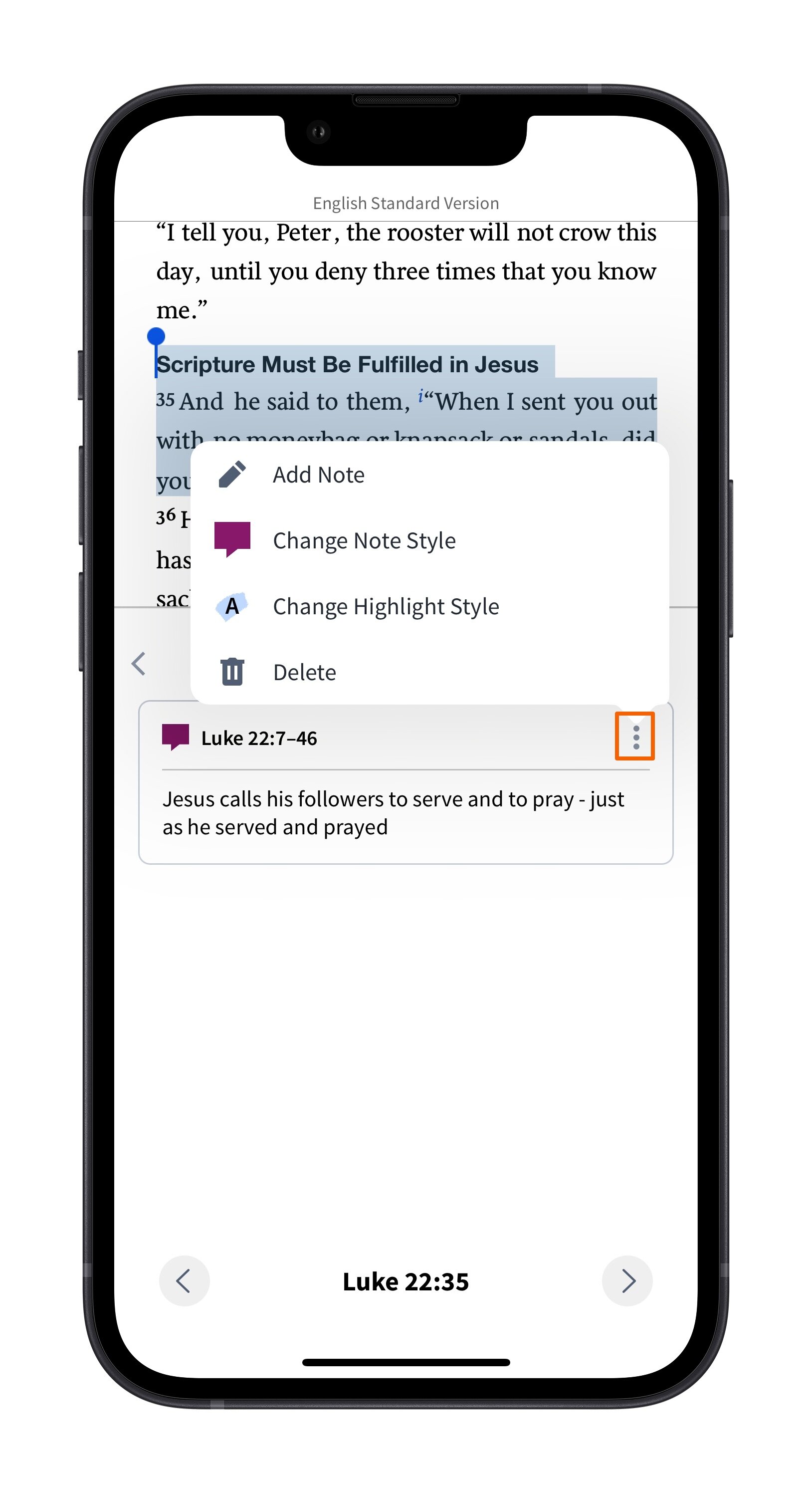 Additional Notes & Highlights Options