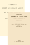 Gesenius Hebrew Bundle (2 vols)