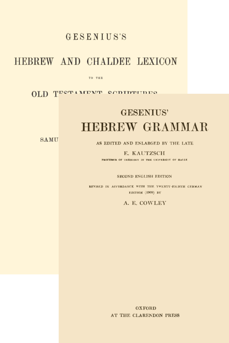 Gesenius Hebrew Bundle (2 vols)