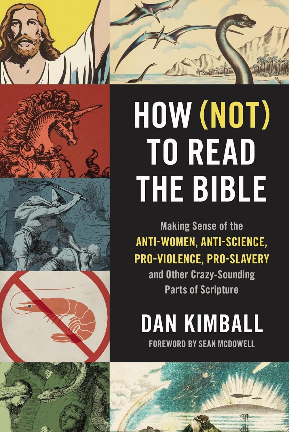 How (Not) to Read the Bible: Making Sense of the Anti-women, Anti ...