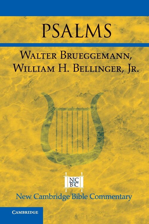 Psalms (New Cambridge Bible Commentary)