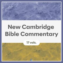 New Cambridge Bible Commentary | NCBC (17 vols.)