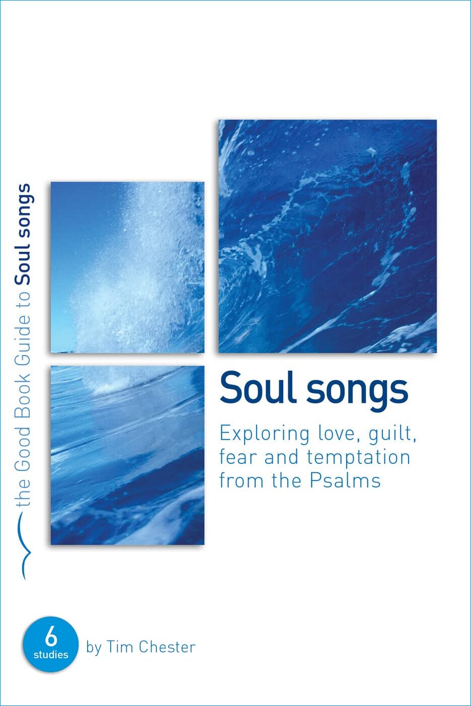 Soul Songs: Exploring Love, Temptation, Guilt and Fear from the Psalms (Good Book Guides)
