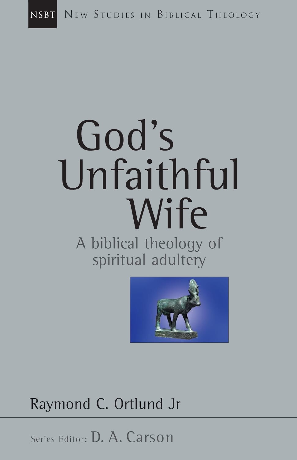 God’s Unfaithful Wife: A Biblical Theology of Spiritual Adultery (New Studies in Biblical Theology, vol. 2 | NSBT)