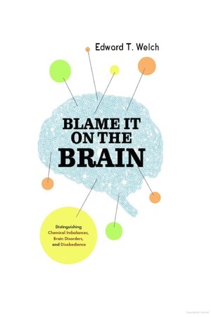 Blame It on the Brain: Distinguishing Chemical Imbalances, Brain Disorders, and Disobedience (Resources for Changing Lives)