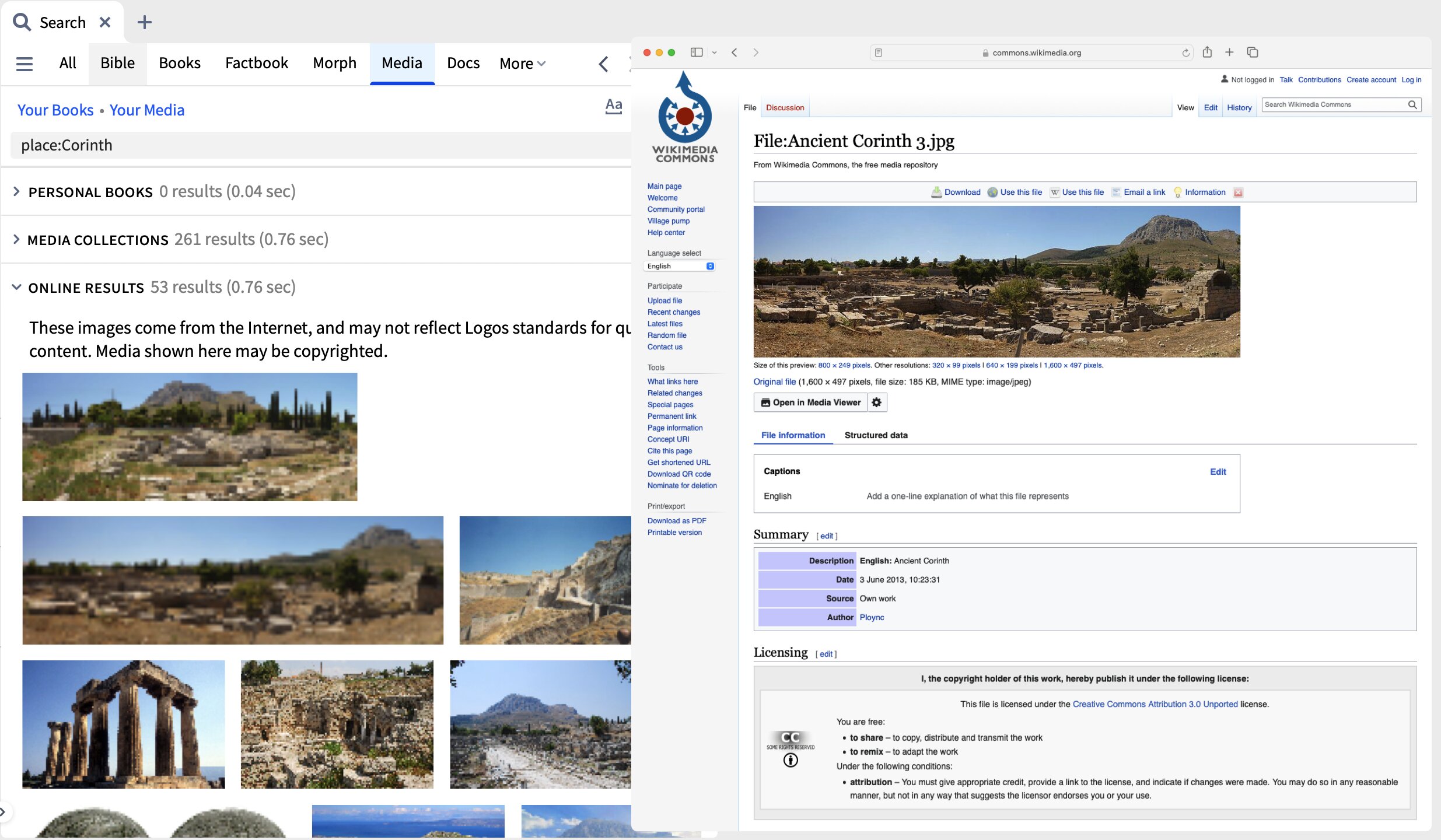 Media Search Online Results