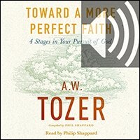 Toward a More Perfect Faith: 4 Stages in Your Pursuit of God (audio)