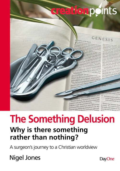 The something delusion why is there something rather than nothing