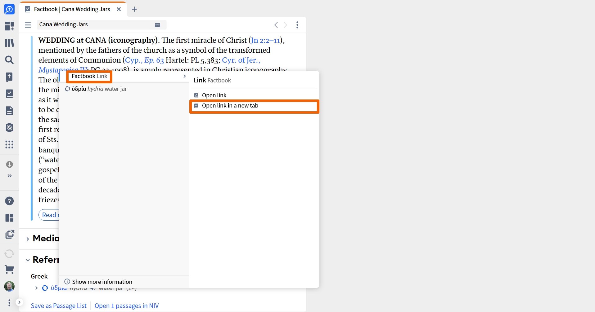 Factbook - Open Link In New Tab