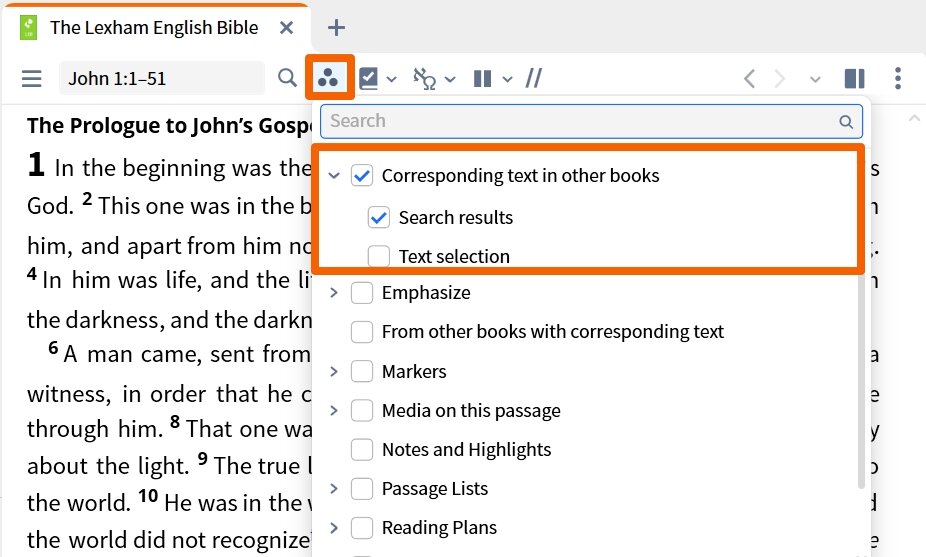 Resource Toolbar - Visual Filter Corresponding Text