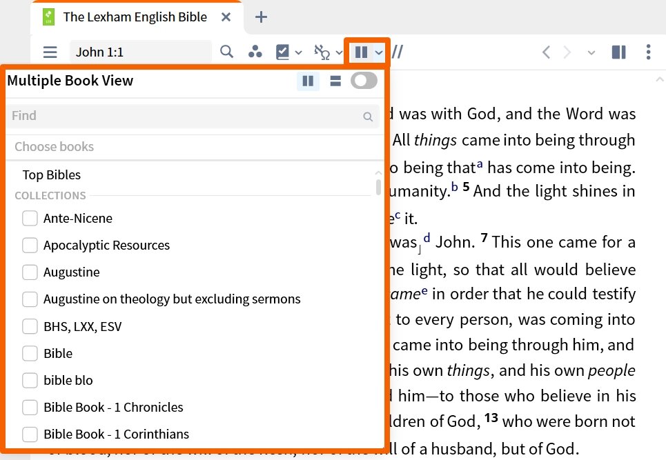 Resource Toolbar - Multiple Books
