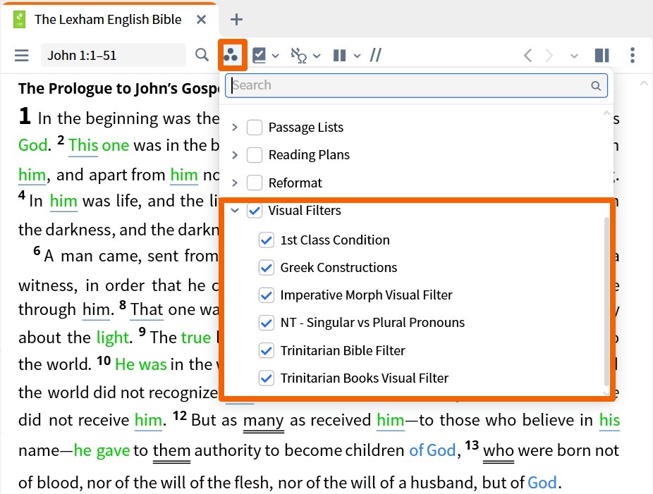 Resource Toolbar - Visual Filters