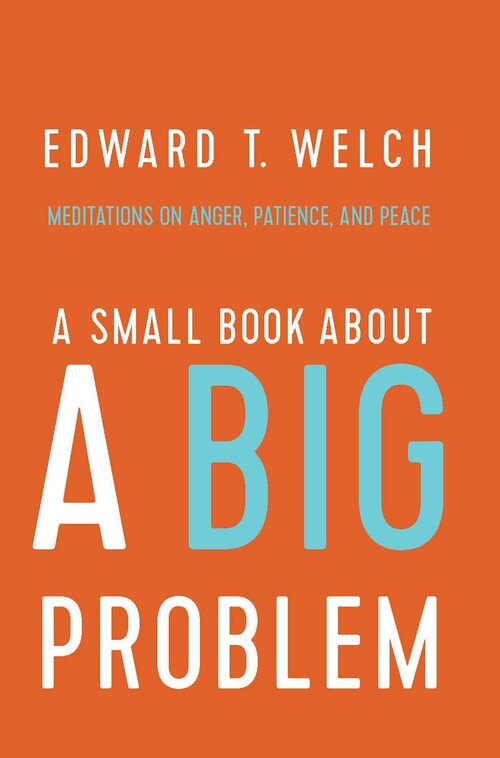 A Small Book about a Big Problem: Meditations on Anger, Patience, and Peace (A Small Book)