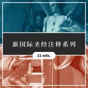 新国际圣经注释系列（简体）（11本）The New International Commentary (NIC, Simplified Chinese) (11 vols)