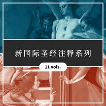 新国际圣经注释系列（简体）（11本）The New International Commentary (NIC, Simplified Chinese) (11 vols)