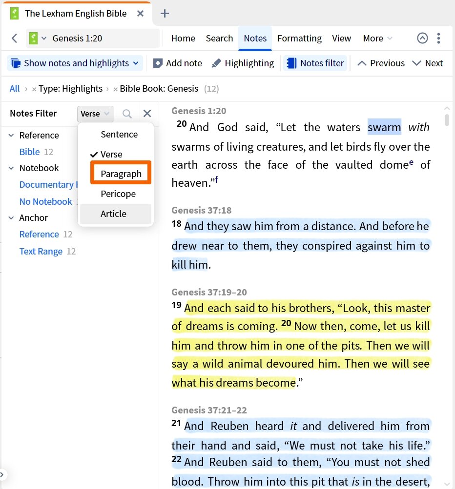 Apply Paragraph Display