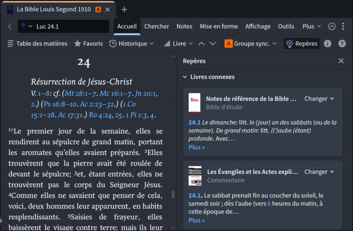 Screen Shot of Logos Insights