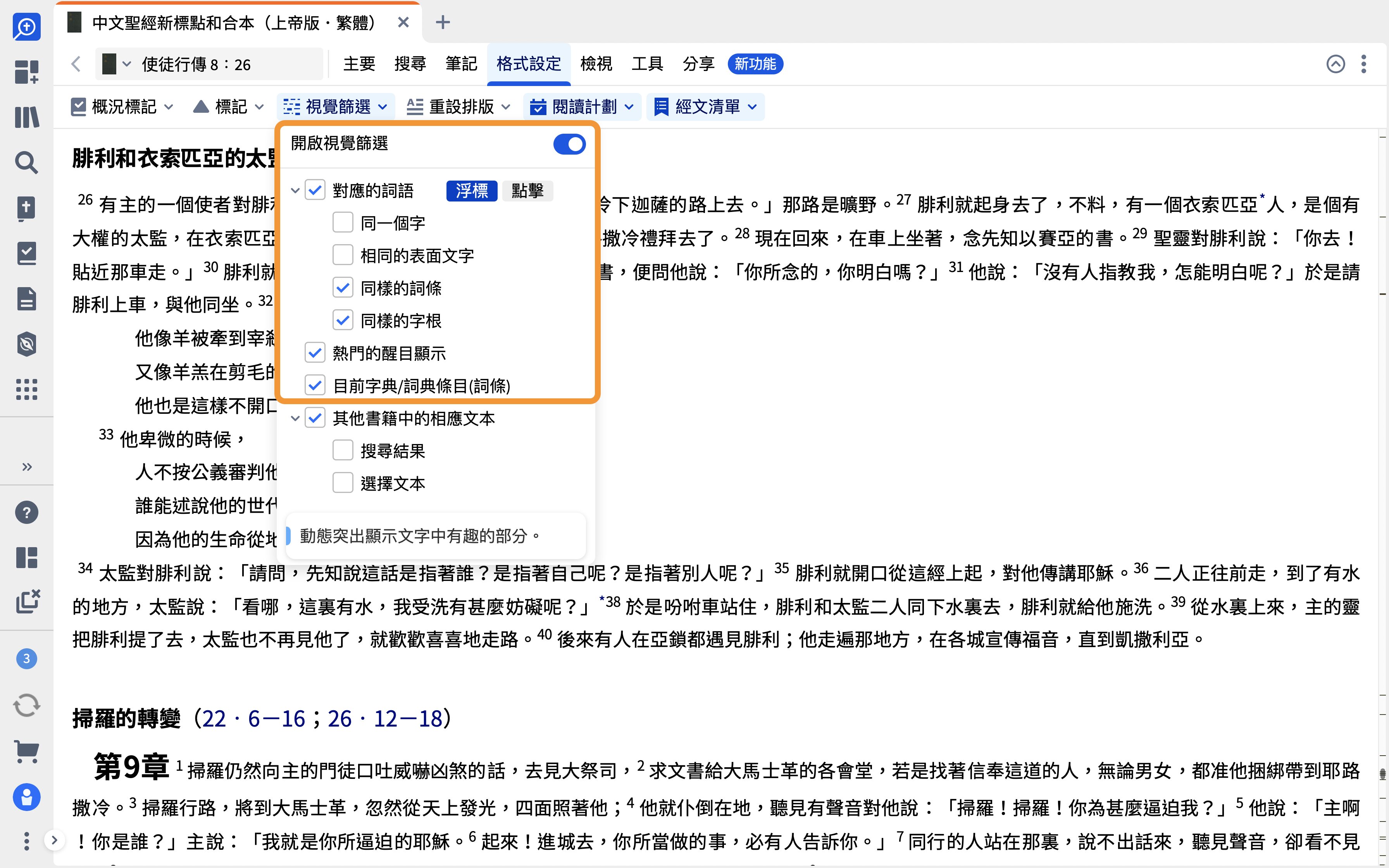 Turn On Corresponding Words Visual Filter