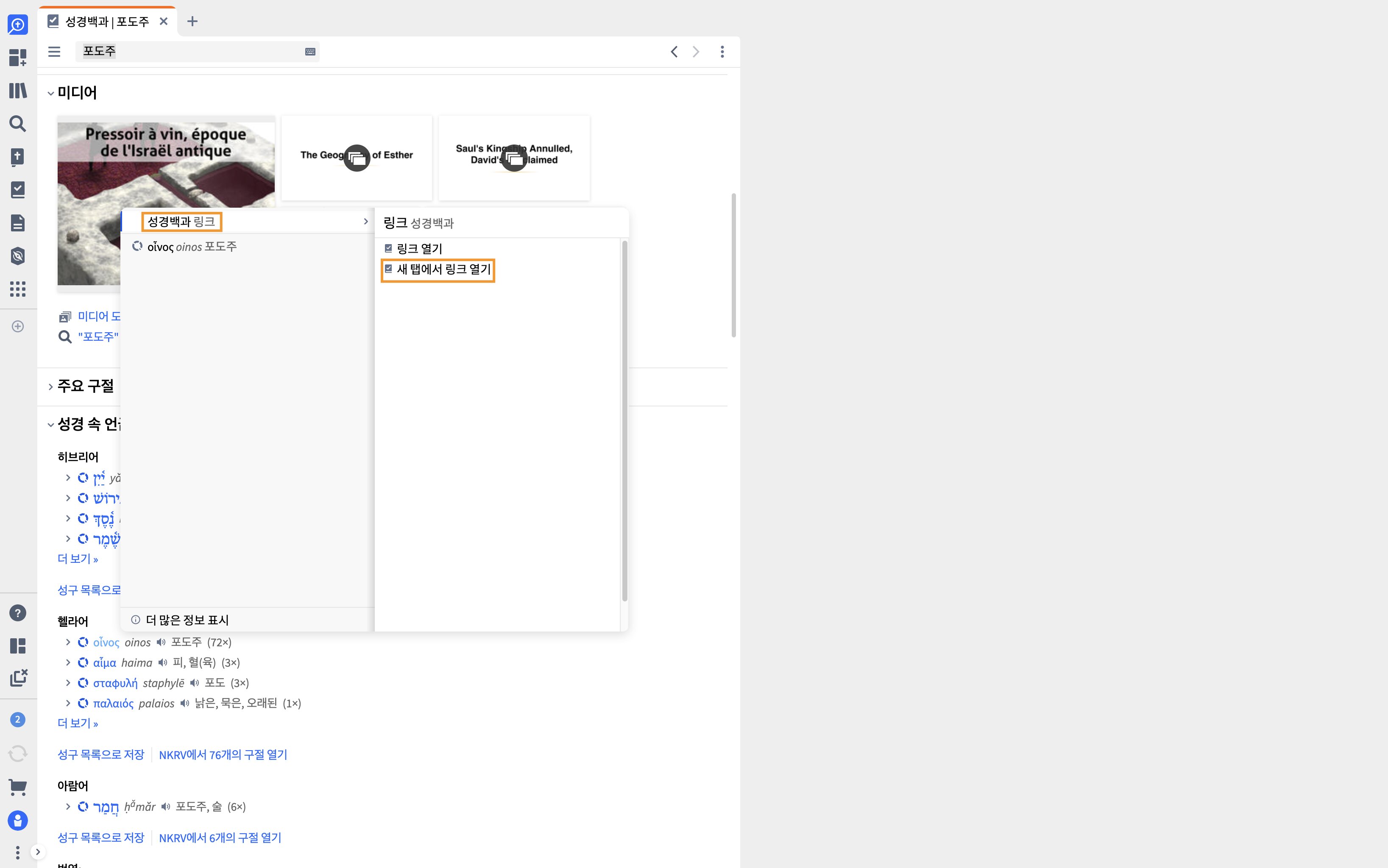 Factbook - Open Link In New Tab