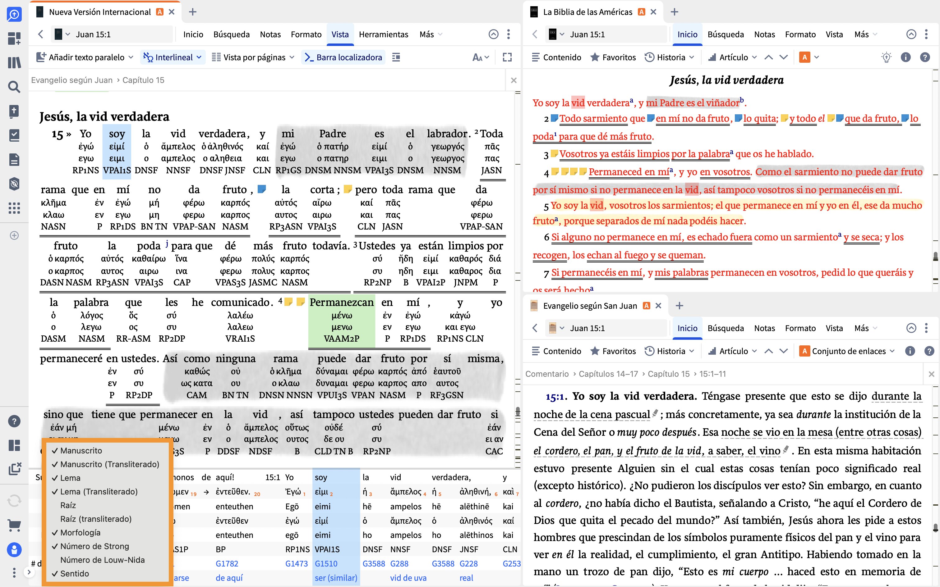 Customize Reverse Interlinear Pane By Right Clicking The Left Column