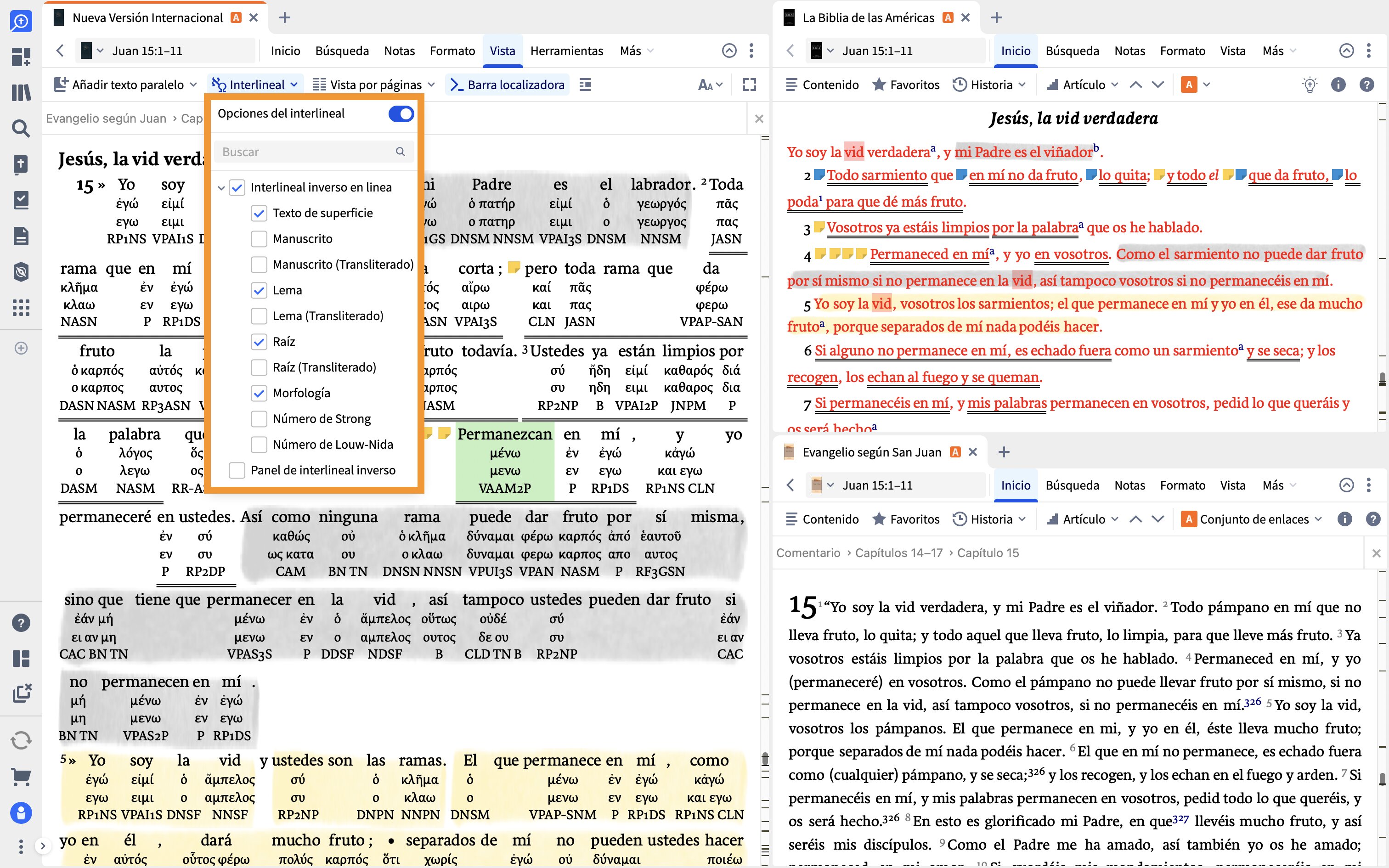 Interlinear Options