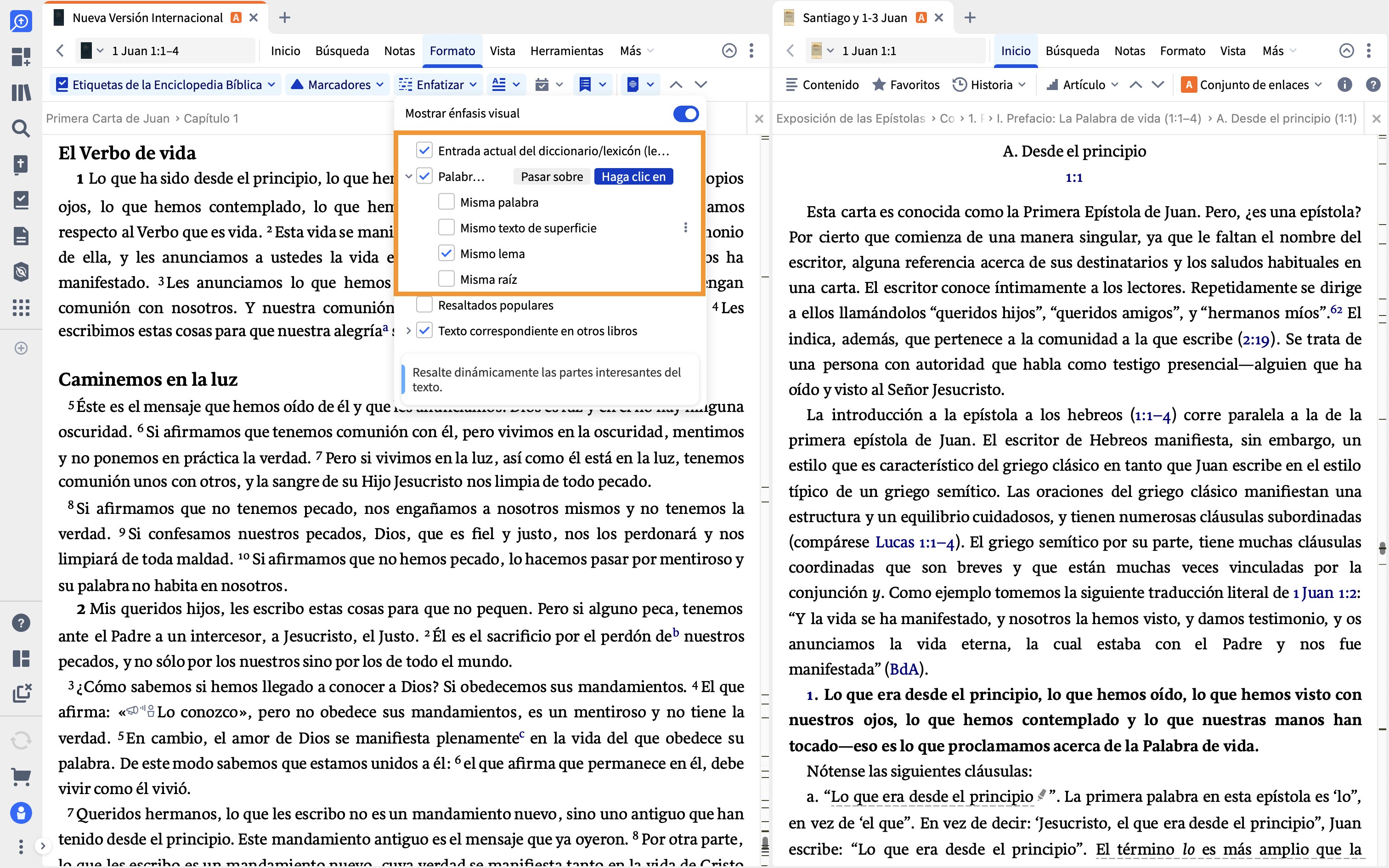 Activar Filtro visual Palabras correspondientes