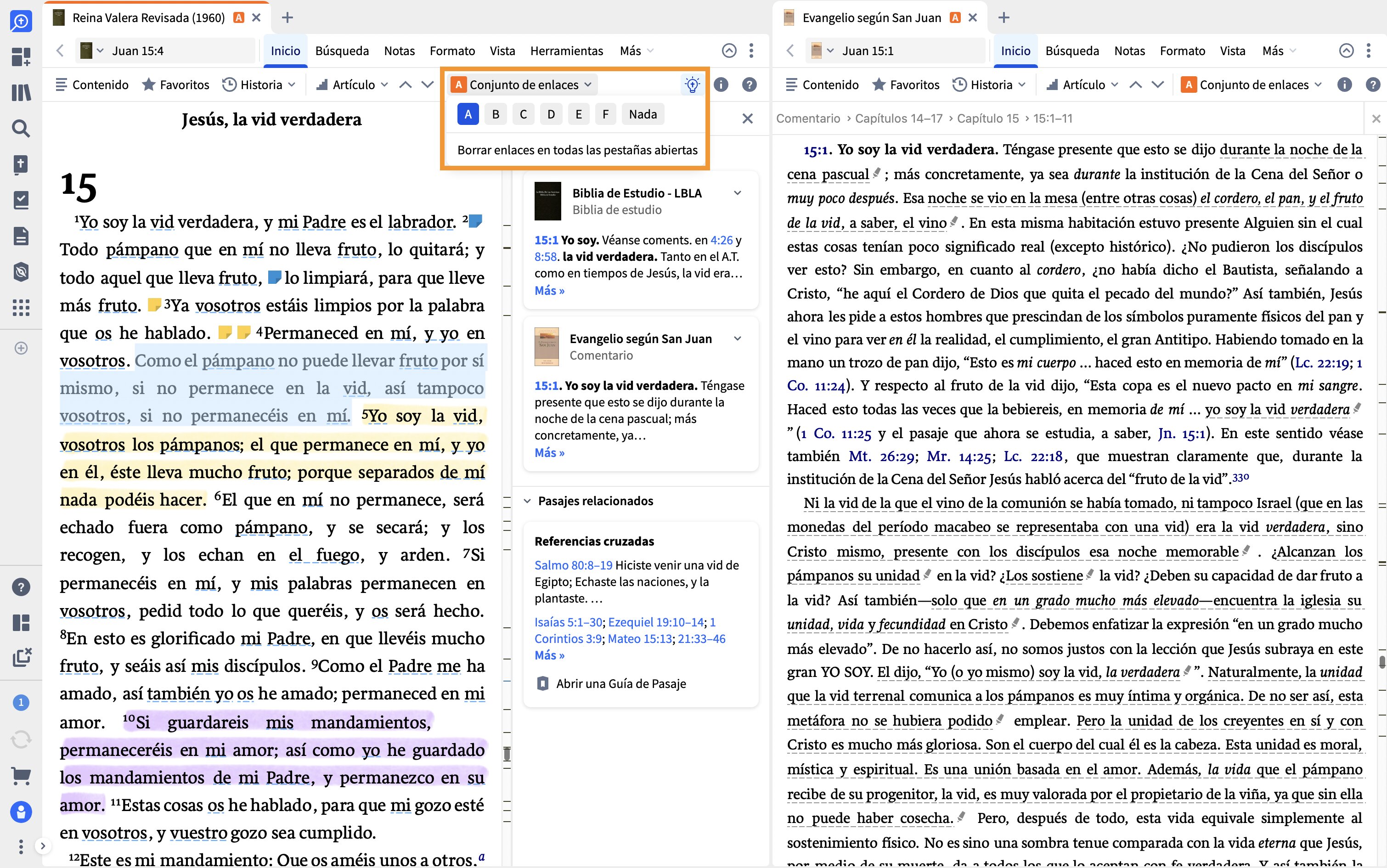 Vincule su comentario a su Biblia abierta