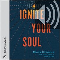 Ignite Your Soul: When Exhaustion, Isolation, and Burnout Light a Path to Flourishing (audio)