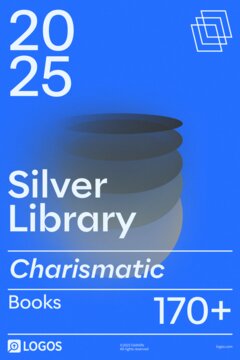 2025 Charismatic Silver (Current Version)